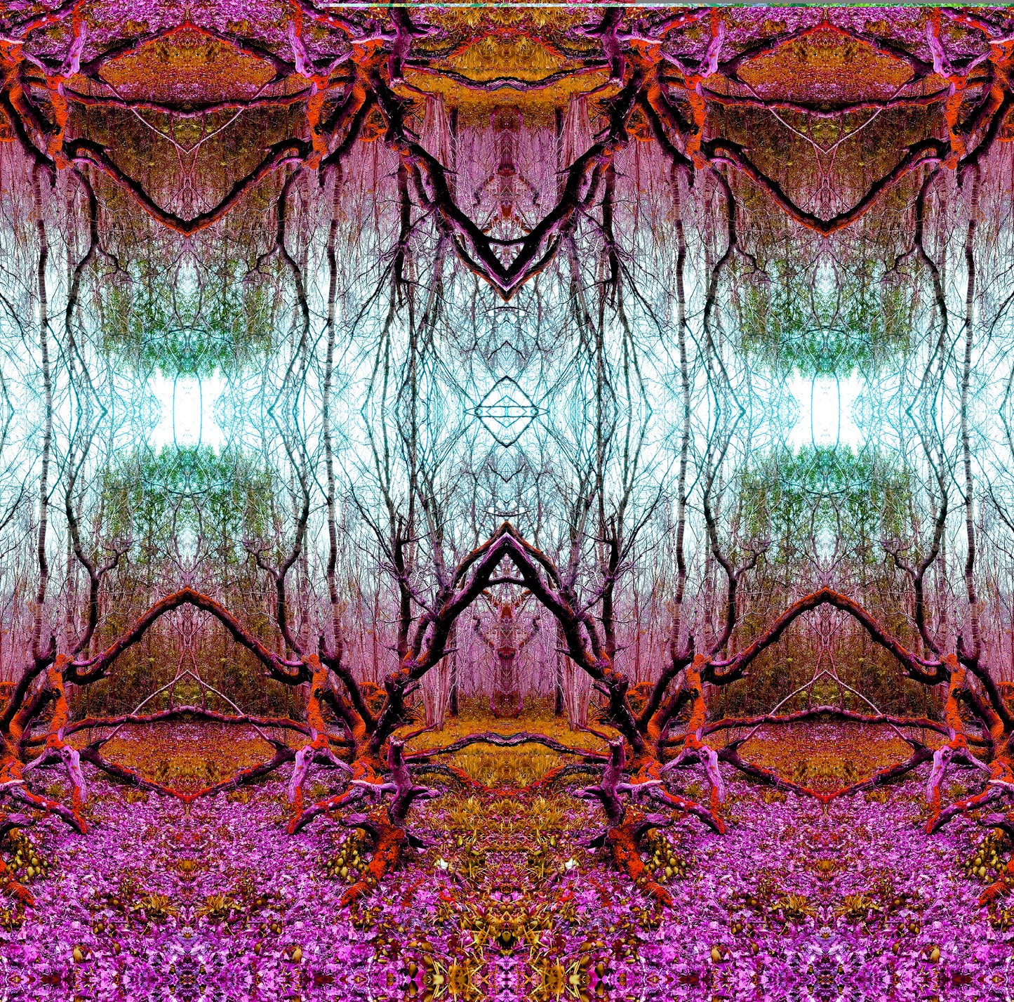 Enchanted Woods Morning and Evening (Treesee Clowes Wood) 2021