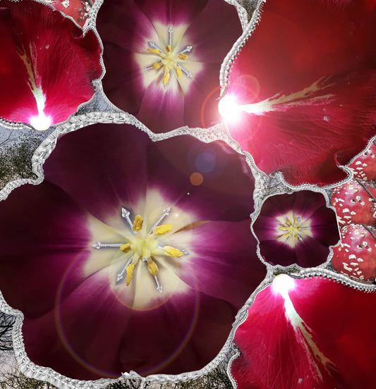 Unlocked (the sixth)