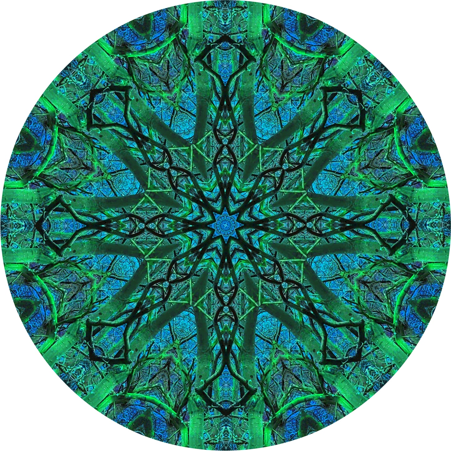 Riflesso di campanule (Treesee Kings Wood) 2023