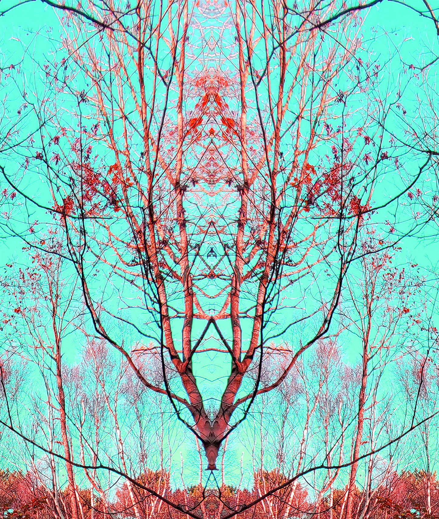 Bouquet de bouleaux (Treesee Clowes Wood) 2021