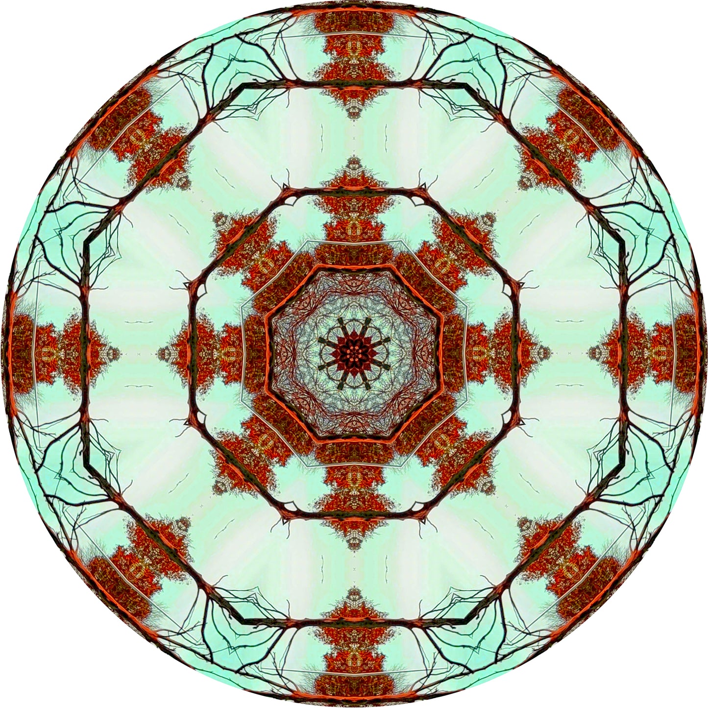Pagoda (Treesee - capitozzata) 2022