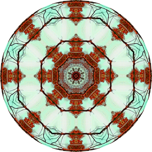 Pagoda (Treesee - pollarded) 2022