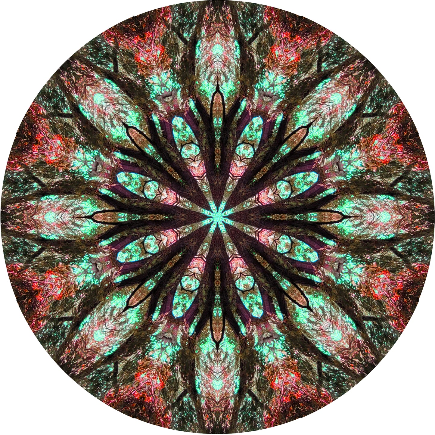 A mandala in red and green, created from a photo of a tree. there are lots of fascinating details of watery reflections and tree sprites