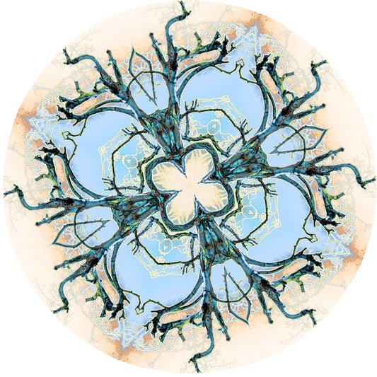 Winter Pierced (Treesee - Whitstable, Kent UK)