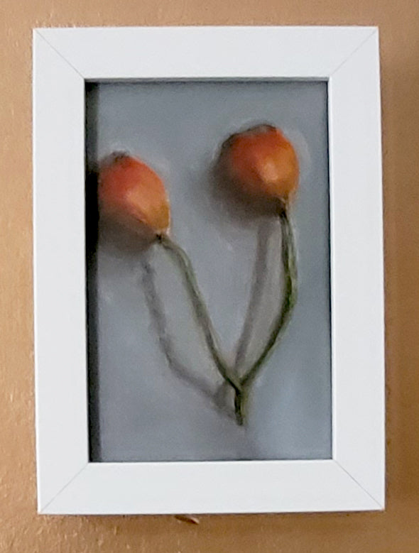 Rosehips - Small Oil Study